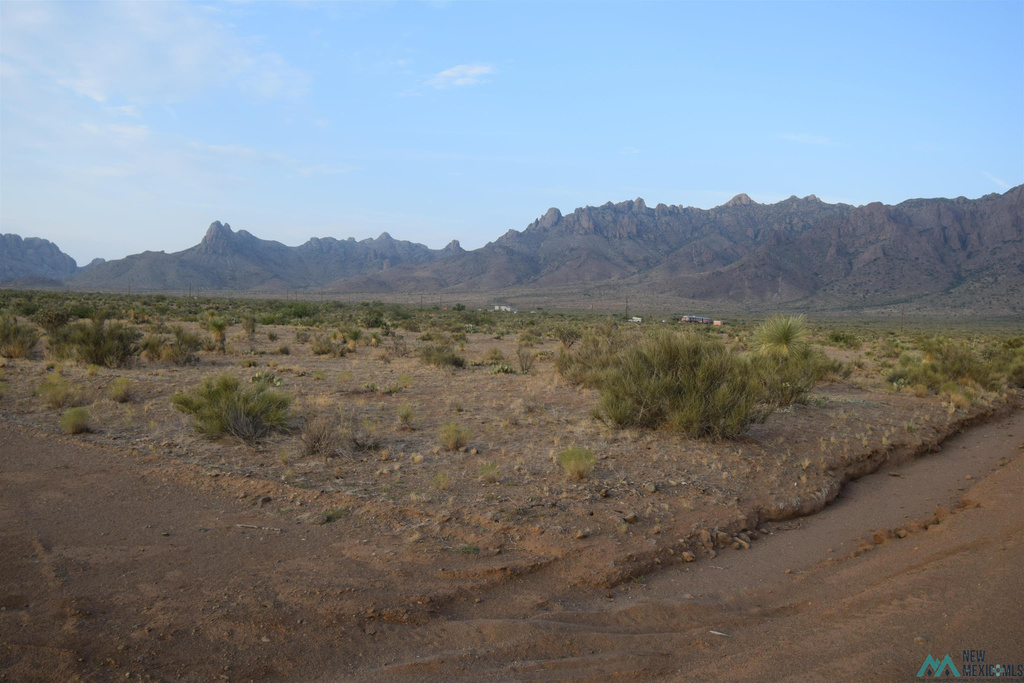 Photo #10