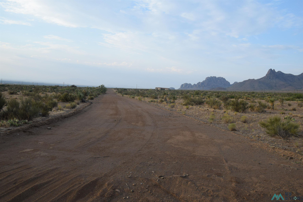 Photo #12