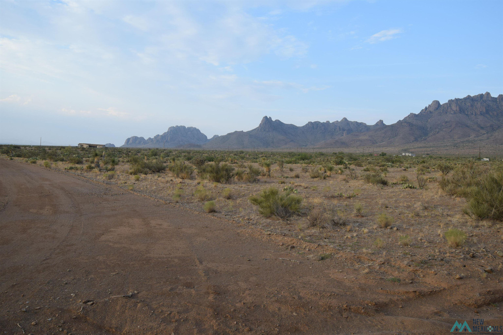 Photo #11
