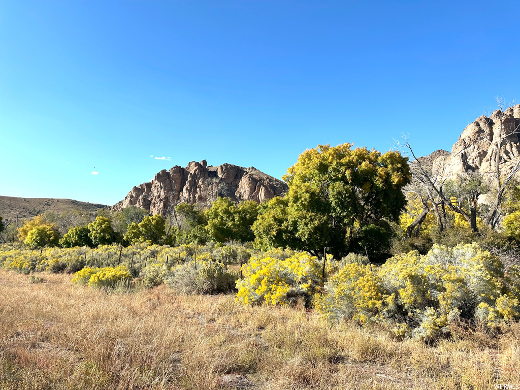 View of mountain view