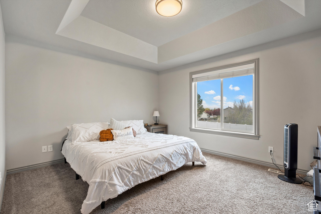 Bedroom featuring carpet and a tray ceiling
