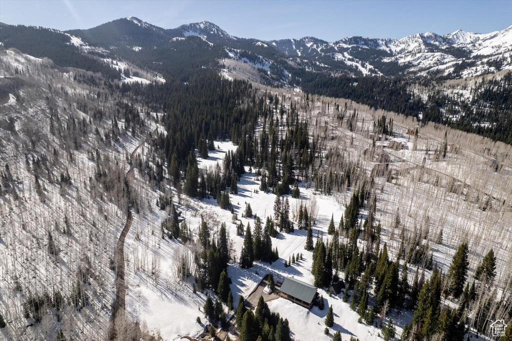 Snowy aerial view featuring a mountain view