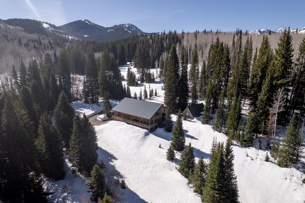Snowy aerial view featuring a view of trees and a mountain view