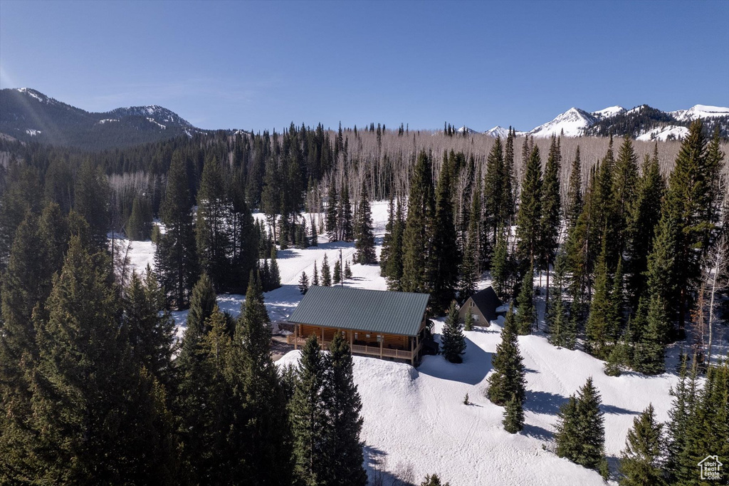 Mountain view with a forest