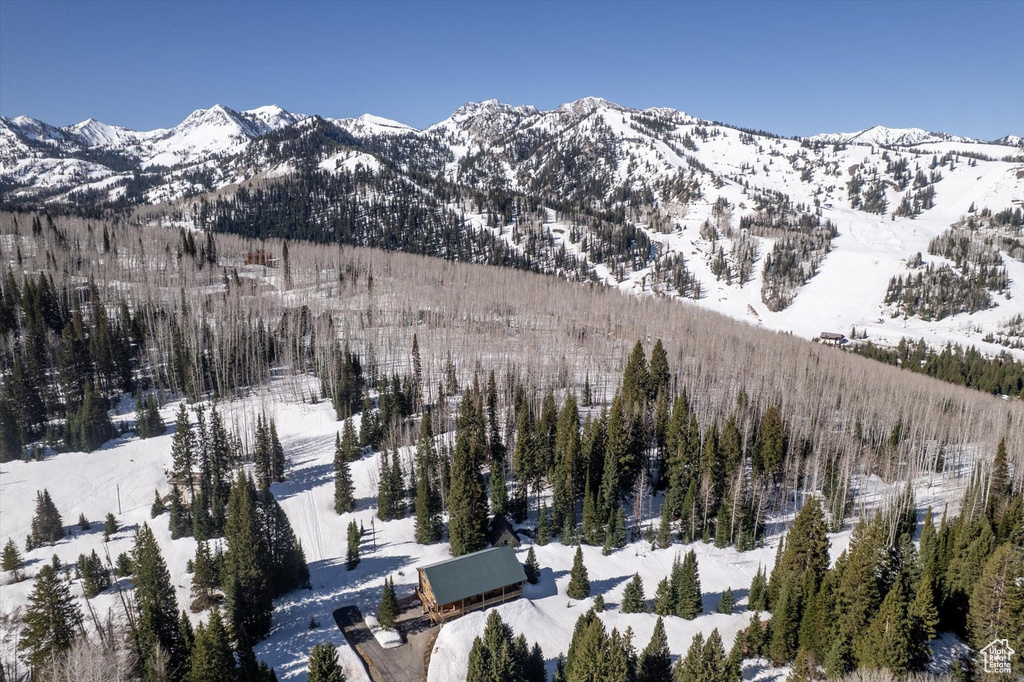 View of mountain backdrop with a heavily wooded area