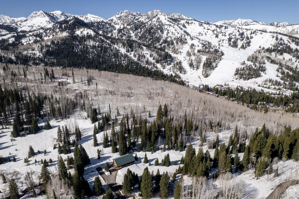 View of mountain background