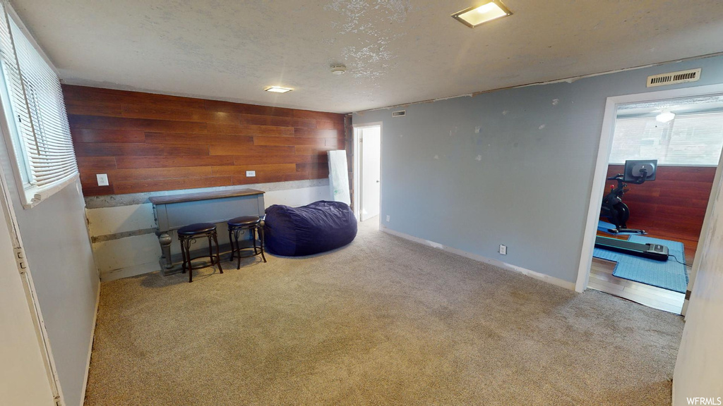 Living area featuring light colored carpet, a healthy amount of sunlight, and wooden walls