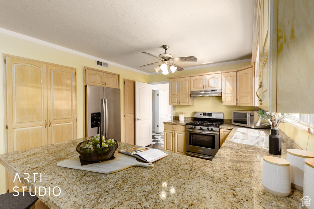 Kitchen featuring appliances with stainless steel finishes, light brown cabinets, ceiling fan, and light stone counters