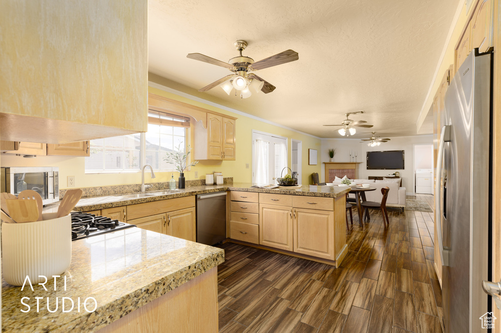 Kitchen featuring kitchen peninsula, light brown cabinets, ceiling fan, and stainless steel appliances