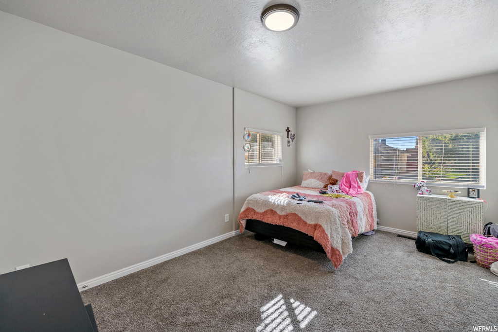 Bedroom featuring multiple windows and carpet flooring