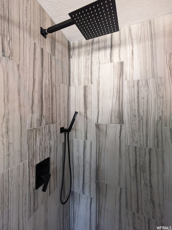 Interior details with tiled shower
