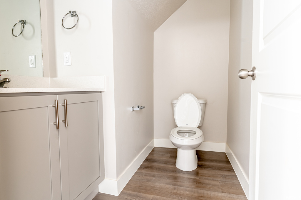 Bathroom with lofted ceiling, vanity, hardwood floors, and toilet