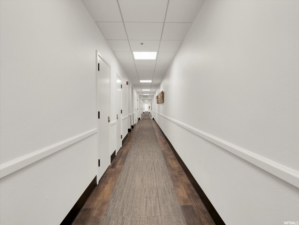 Hallway with a drop ceiling and dark hardwood floors