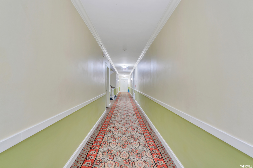 Hall featuring light colored carpet and crown molding