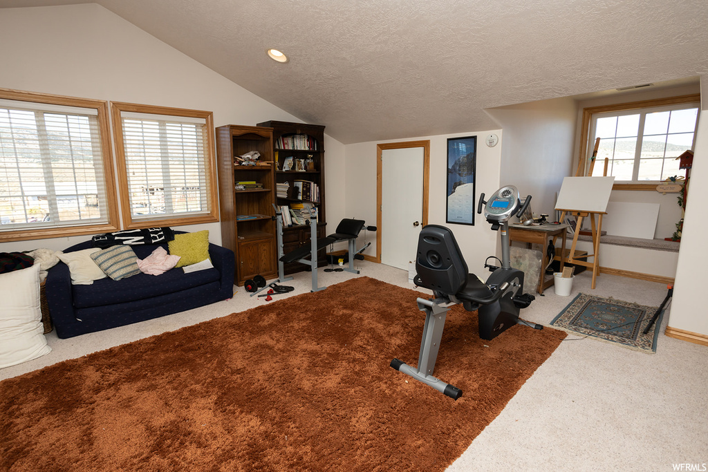 Exercise room featuring vaulted ceiling, a textured ceiling, plenty of natural light, and carpet
