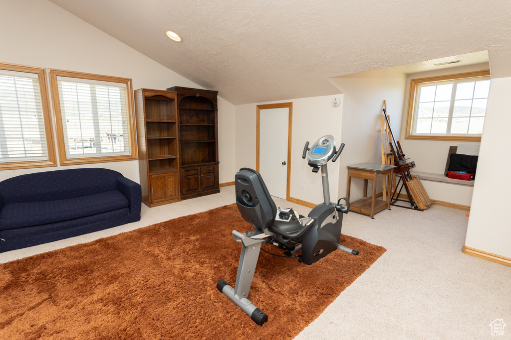 Workout area with a textured ceiling, vaulted ceiling, and light colored carpet