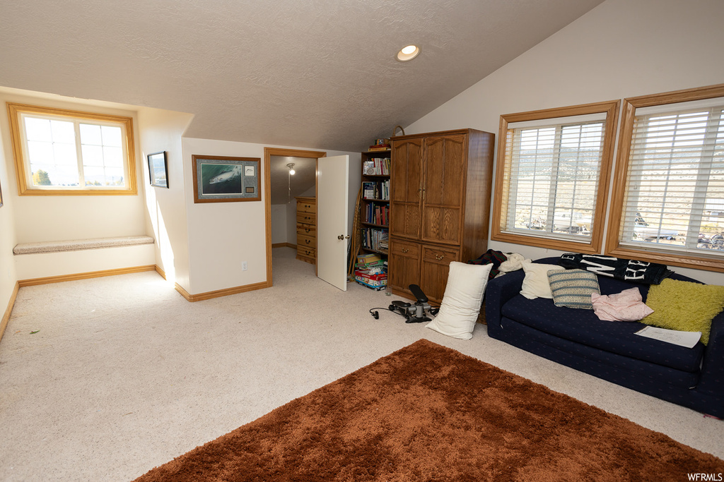 Carpeted bedroom with lofted ceiling and a textured ceiling