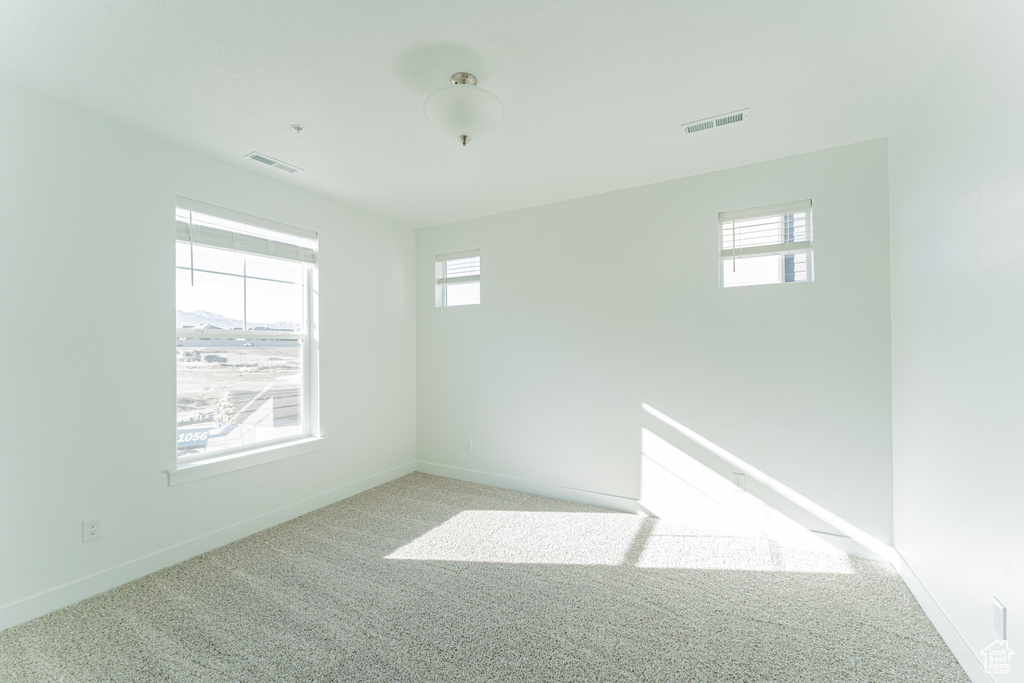 Carpeted empty room featuring a healthy amount of sunlight