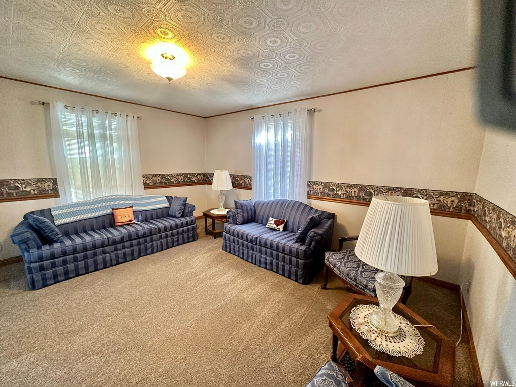Living room with carpet and a textured ceiling