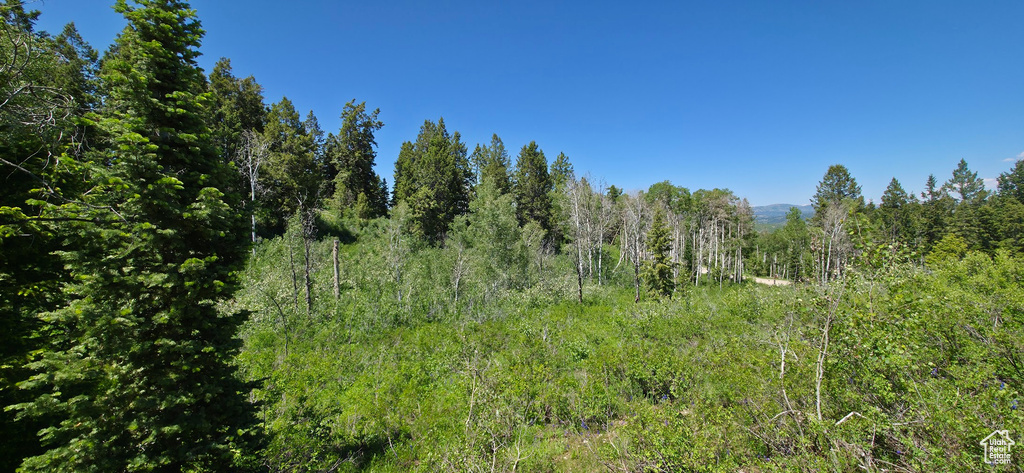 View of woods