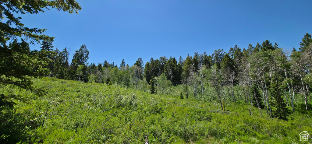 View of wooded area