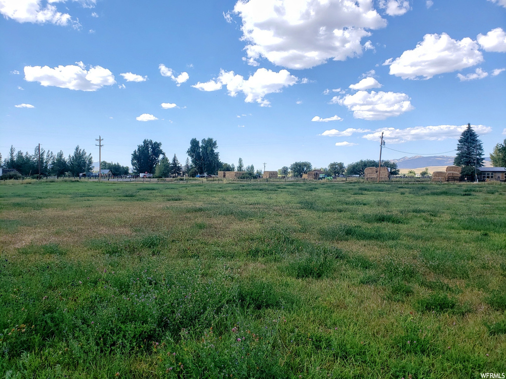 View of local wilderness featuring a rural view