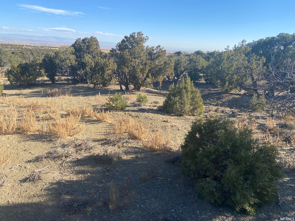 View of local wilderness featuring a rural view