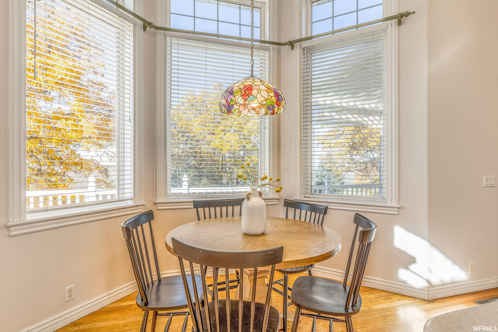 Dining room with light hardwood / wood-style flooring and a healthy amount of sunlight