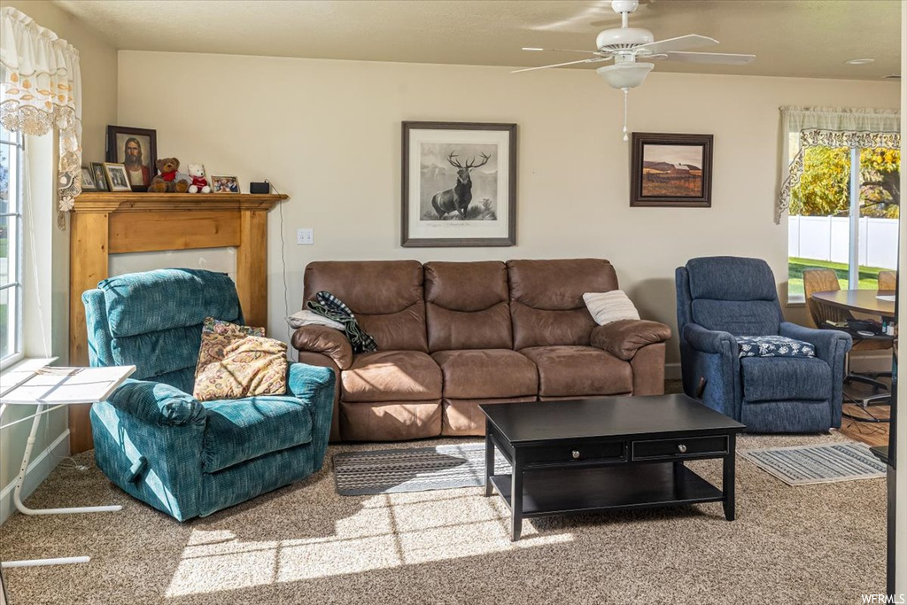 Carpeted living room featuring ceiling fan and a healthy amount of sunlight