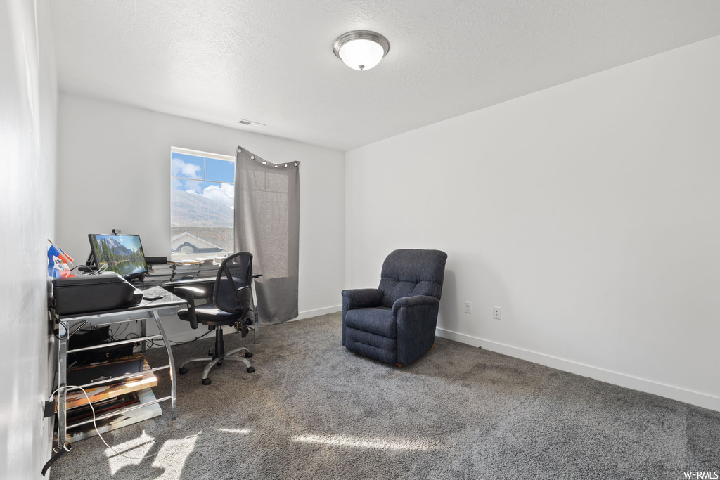 Office area featuring carpet flooring
