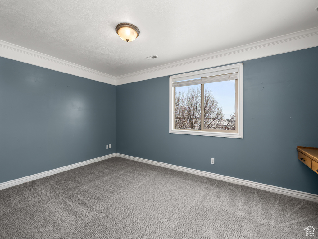 Empty room with crown molding and dark carpet