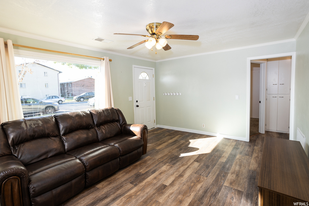 Living room with ceiling fan, crown molding, and dark wood-type flooring
