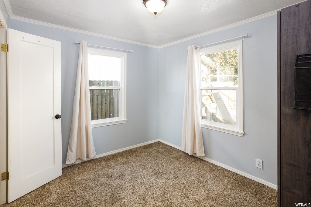 Spare room featuring crown molding and light colored carpet