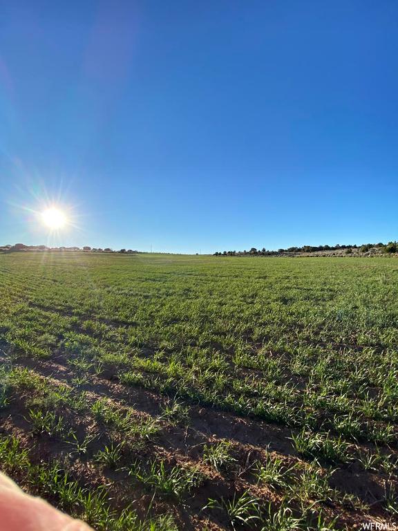 View of local wilderness with a rural view