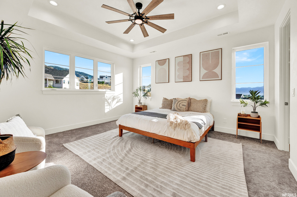 Carpeted bedroom featuring multiple windows, ceiling fan, and a raised ceiling