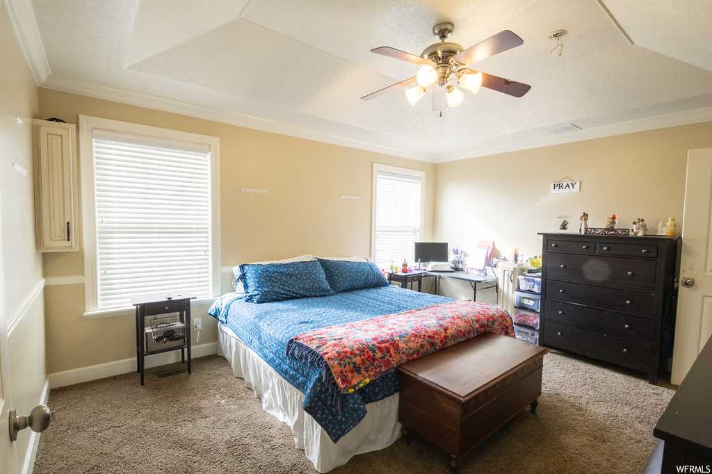 Bedroom featuring a tray ceiling, multiple windows, and ceiling fan