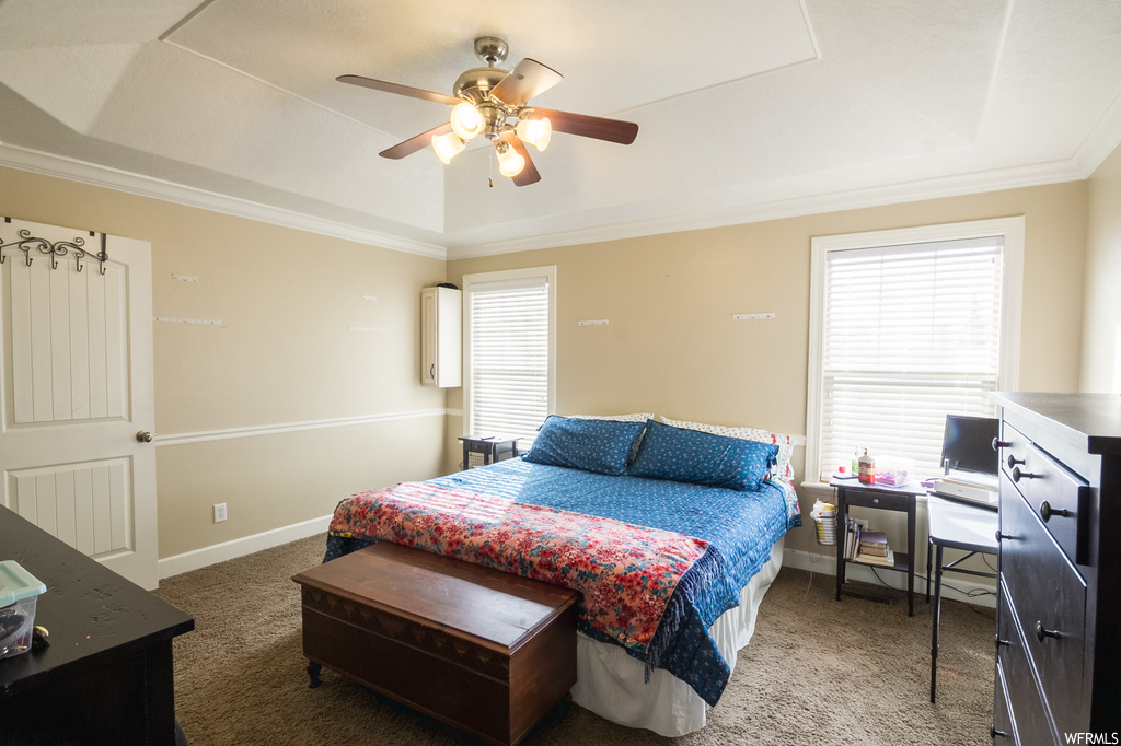Bedroom with carpet flooring, ceiling fan, and a raised ceiling