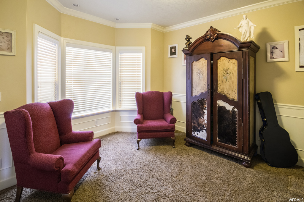 Sitting room with crown molding and dark carpet