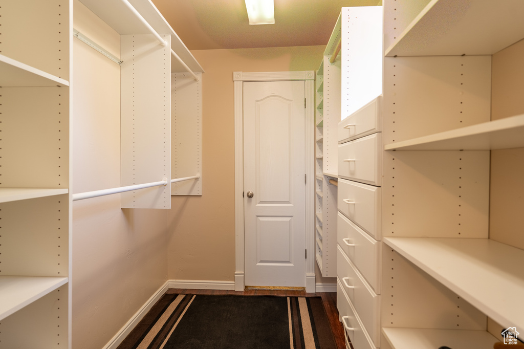 Spacious closet with dark wood-type flooring