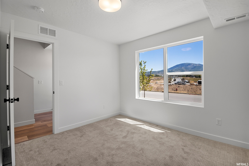Spare room featuring light carpet and a mountain view