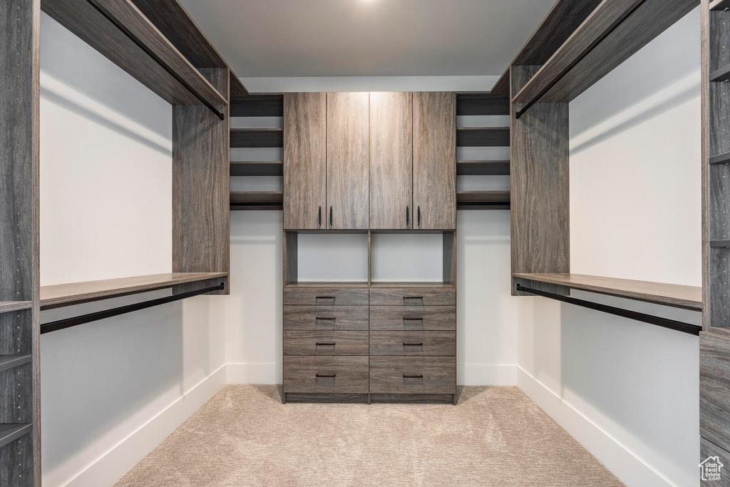 Spacious closet featuring light colored carpet