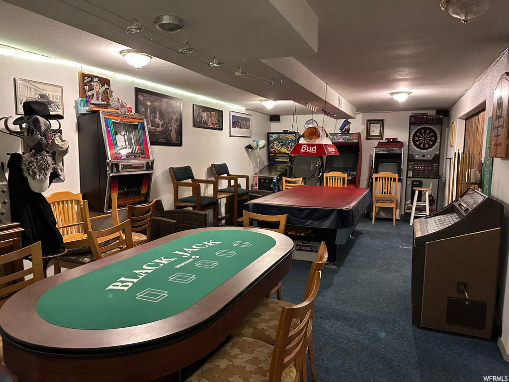 Recreation room featuring rail lighting and dark colored carpet