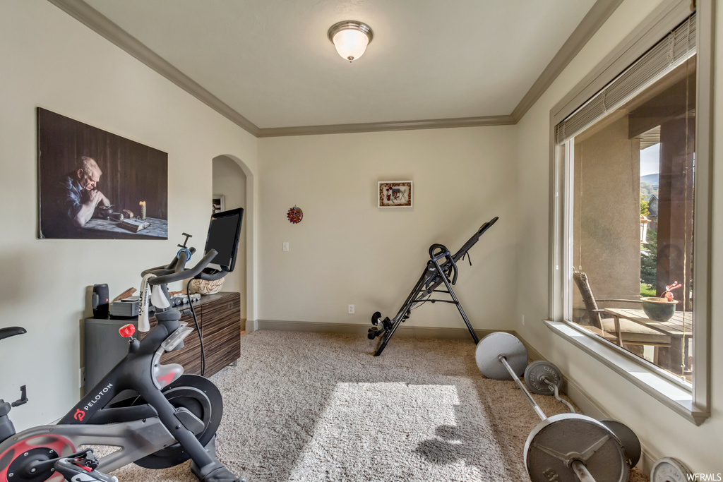 Exercise area featuring light carpet and crown molding
