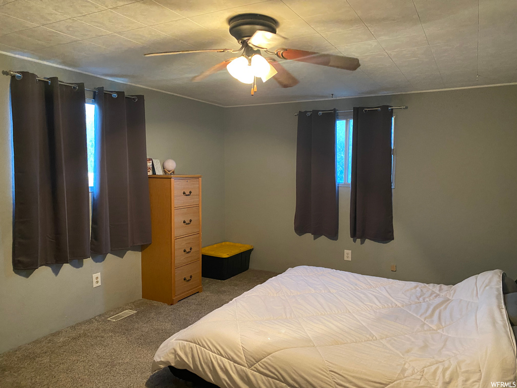 Carpeted bedroom featuring multiple windows and ceiling fan