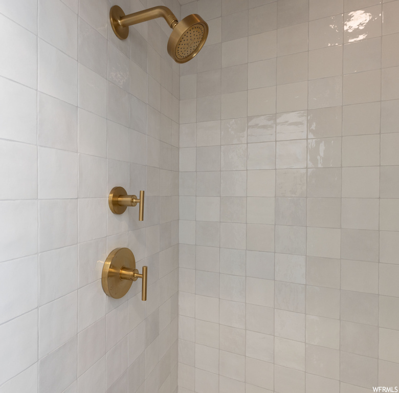 Interior details featuring a tile shower
