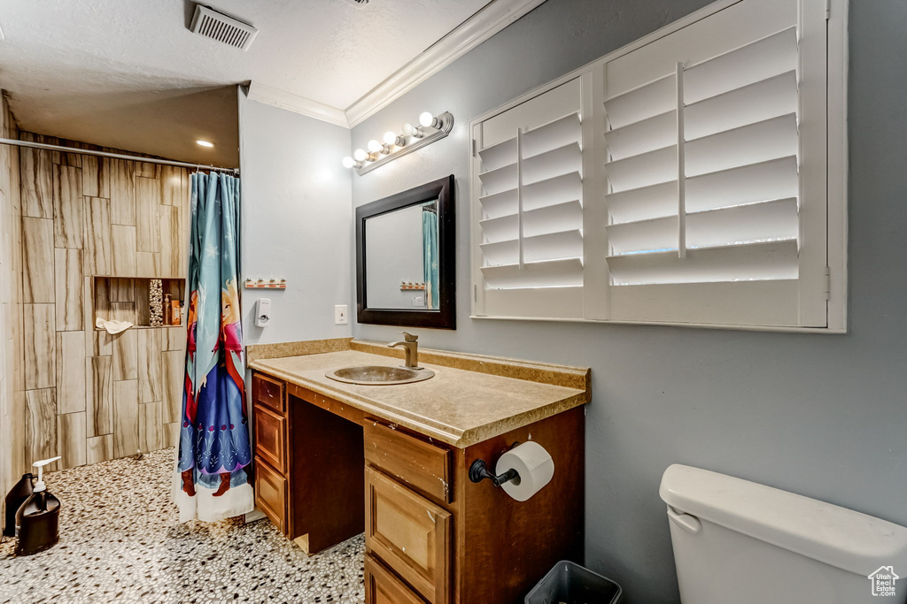 Bathroom featuring crown molding, toilet, vanity, and a textured ceiling