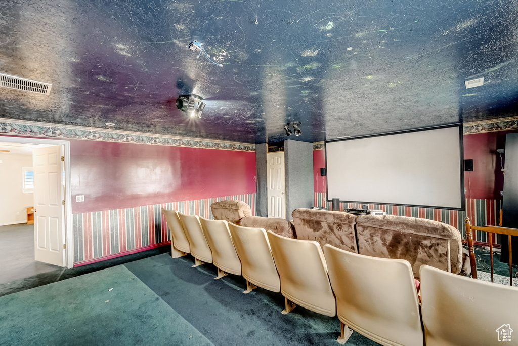Cinema with a textured ceiling and dark colored carpet