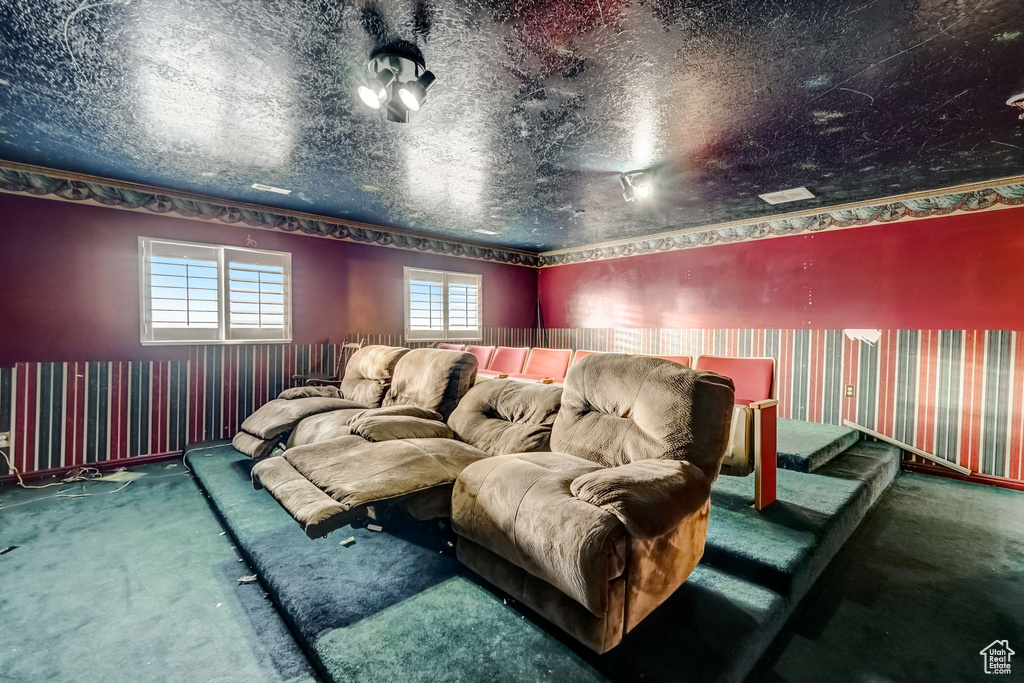 Cinema room with a textured ceiling and dark colored carpet