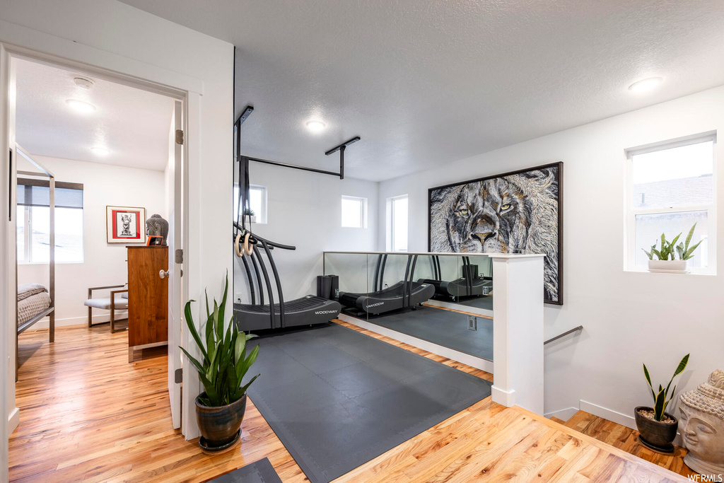 Workout area featuring a wealth of natural light and light wood-type flooring