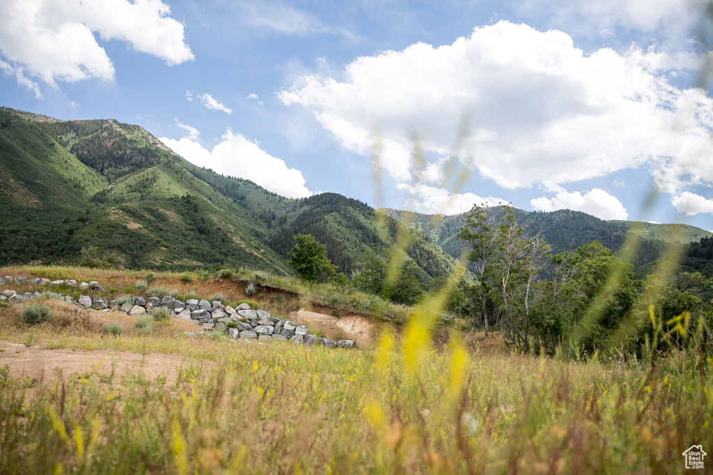 Property view of mountains